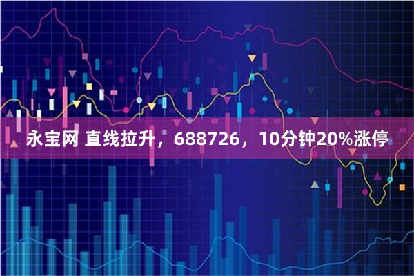 永宝网 直线拉升，688726，10分钟20%涨停